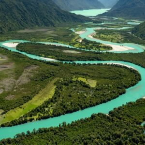 62241024_3355508111141415_1625789745969758208_n